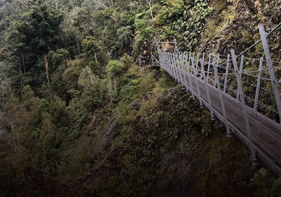 Bild: 5 of the Best Mountain Biking Trails in New Zealand